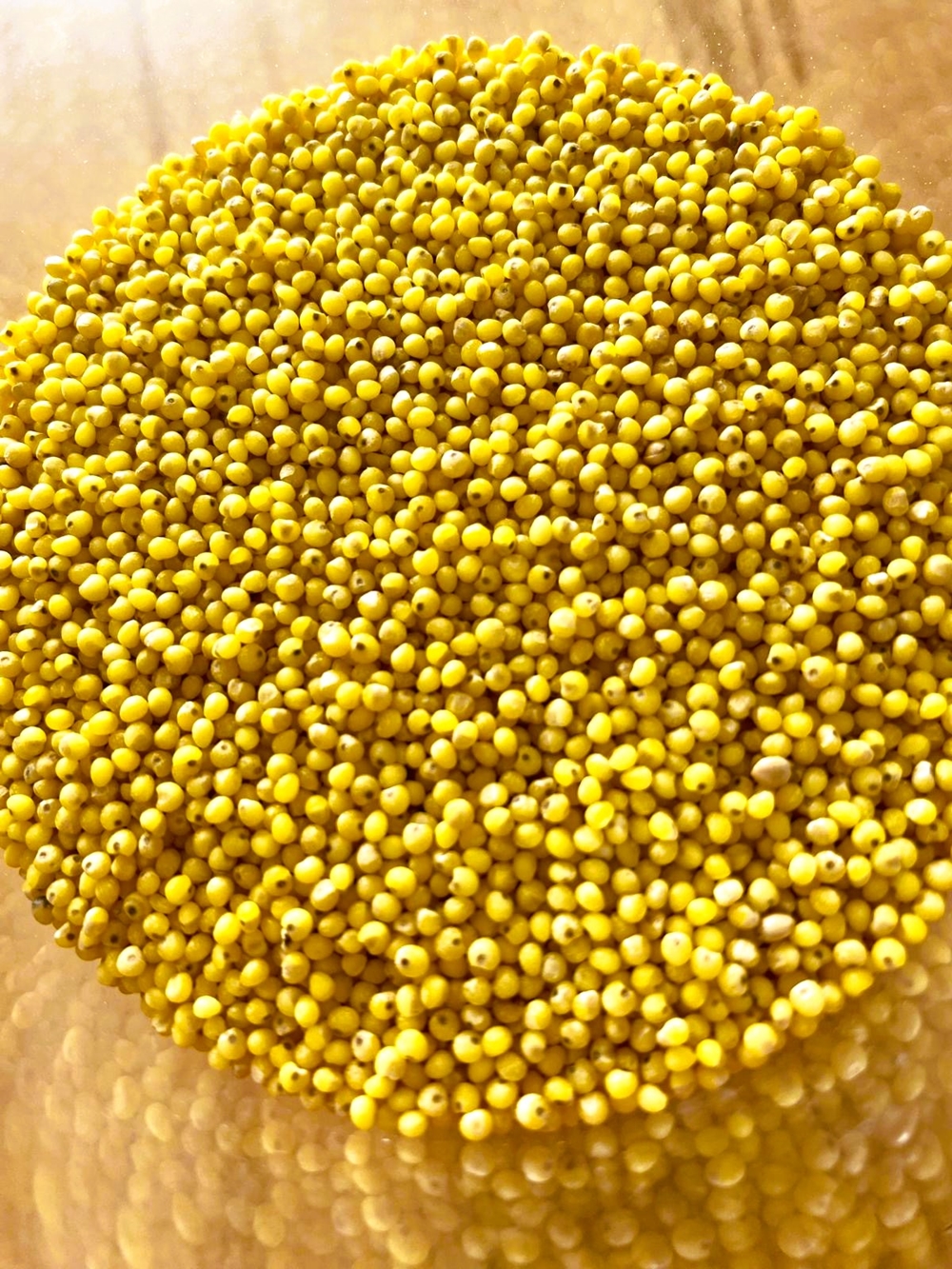 Stumpflgut in Furth - Familie Andeßner