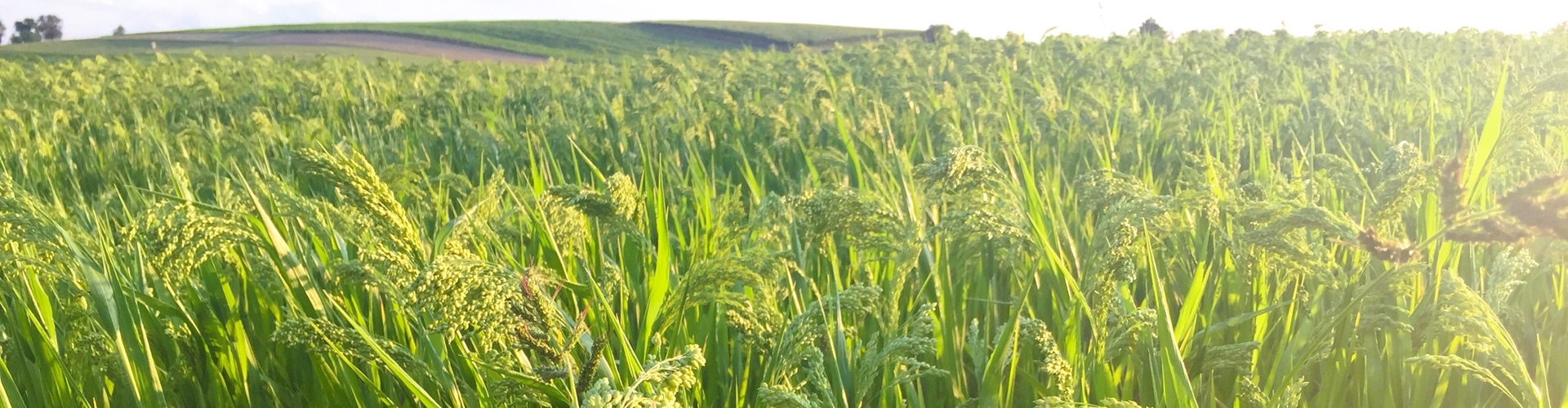Stumpflgut in Furth - Familie Andeßner