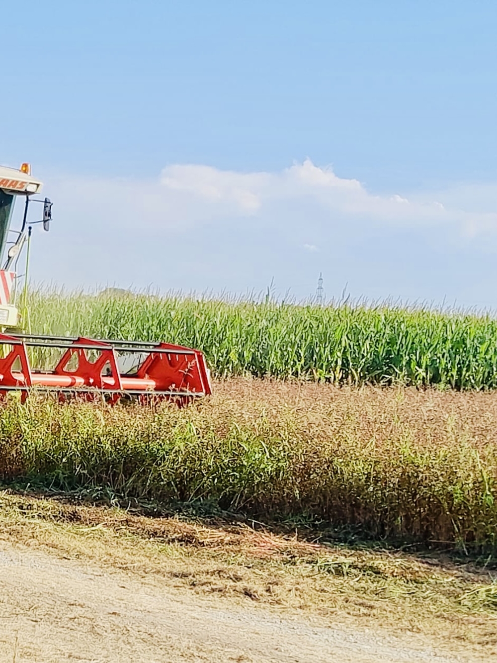 Stumpflgut in Furth - Familie Andeßner