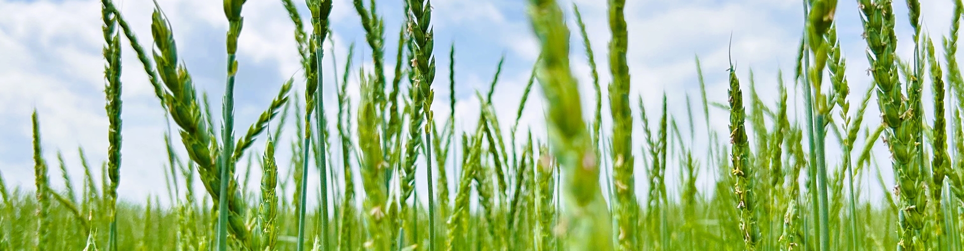 Stumpflgut in Furth - Familie Andeßner