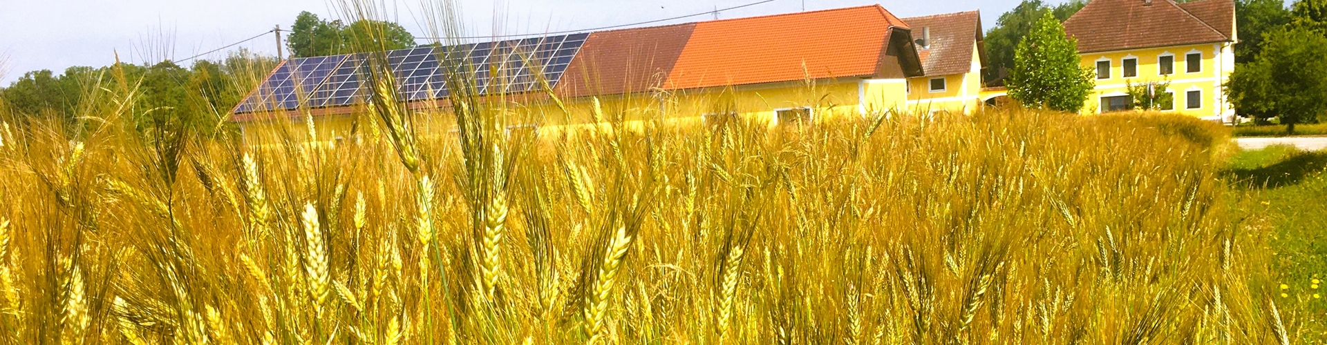 Stumpflgut in Furth - Familie Andeßner