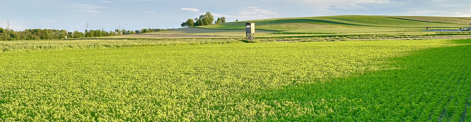 Stumpflgut in Furth - Familie Andeßner