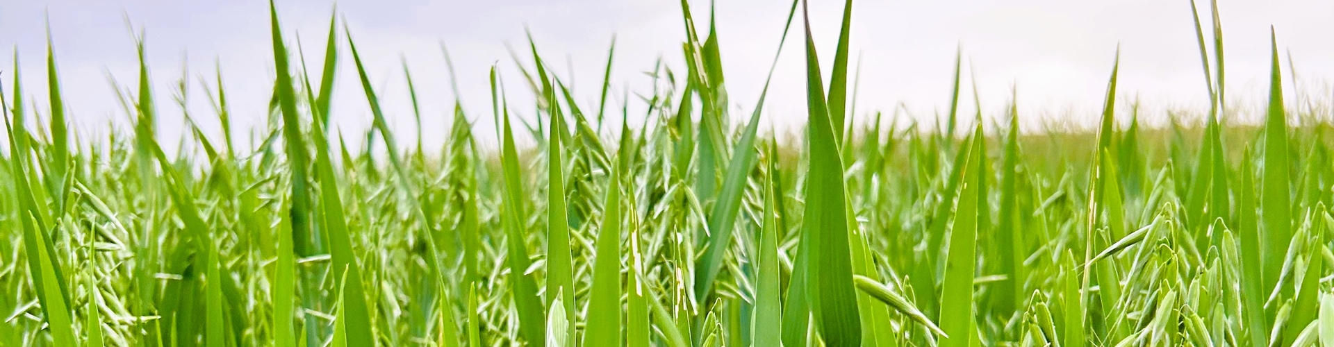 Stumpflgut in Furth - Familie Andeßner