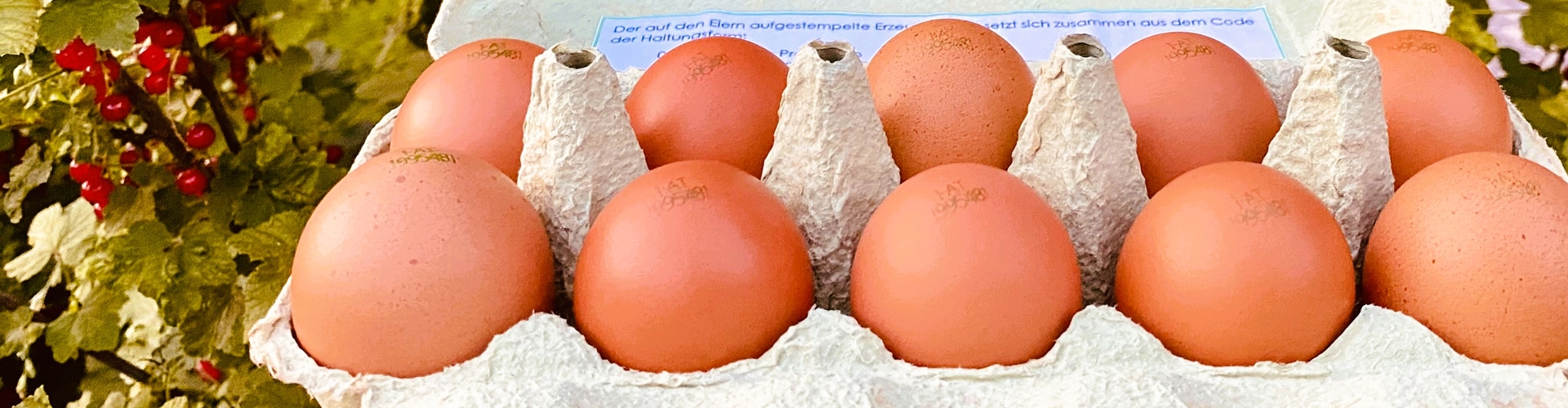 Stumpflgut in Furth - Familie Andeßner