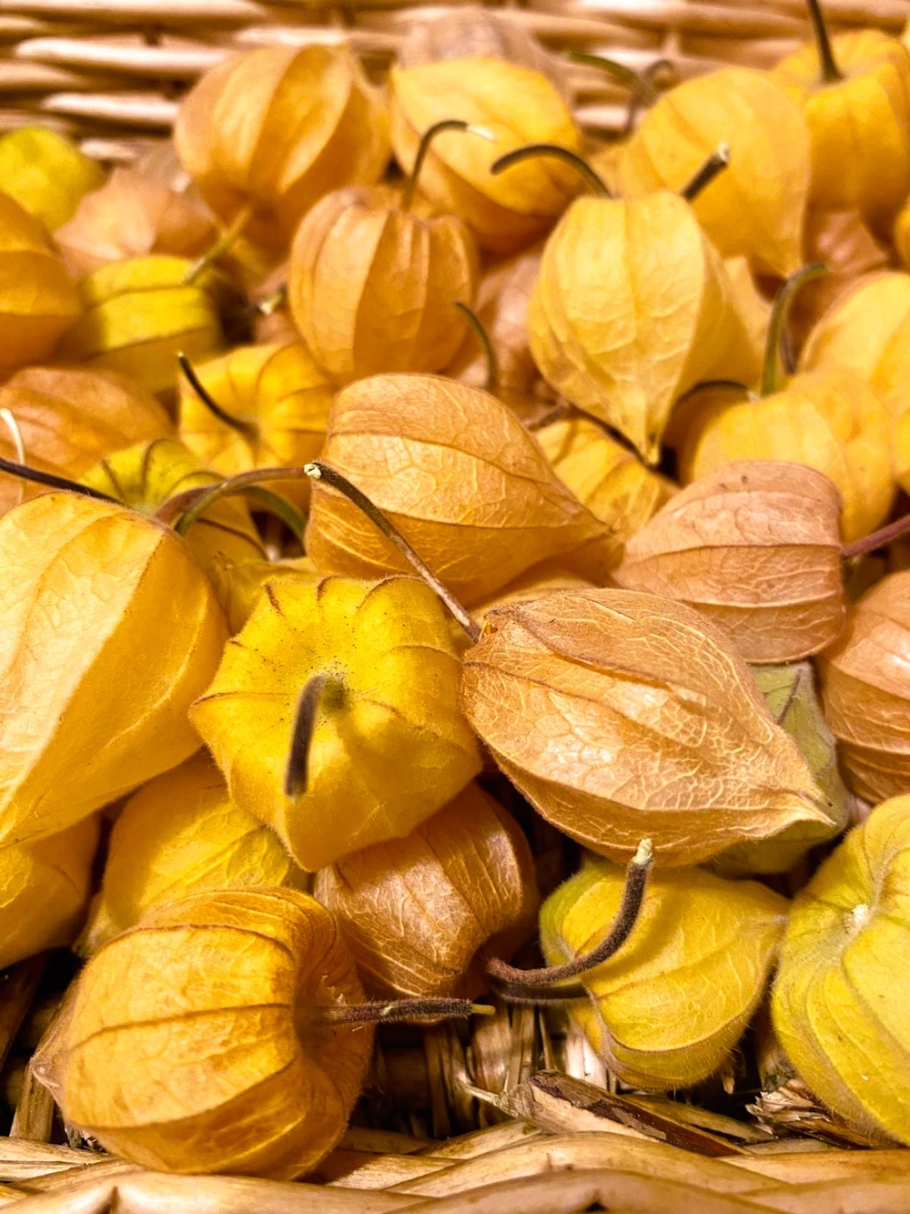 Stumpflgut in Furth - Familie Andeßner