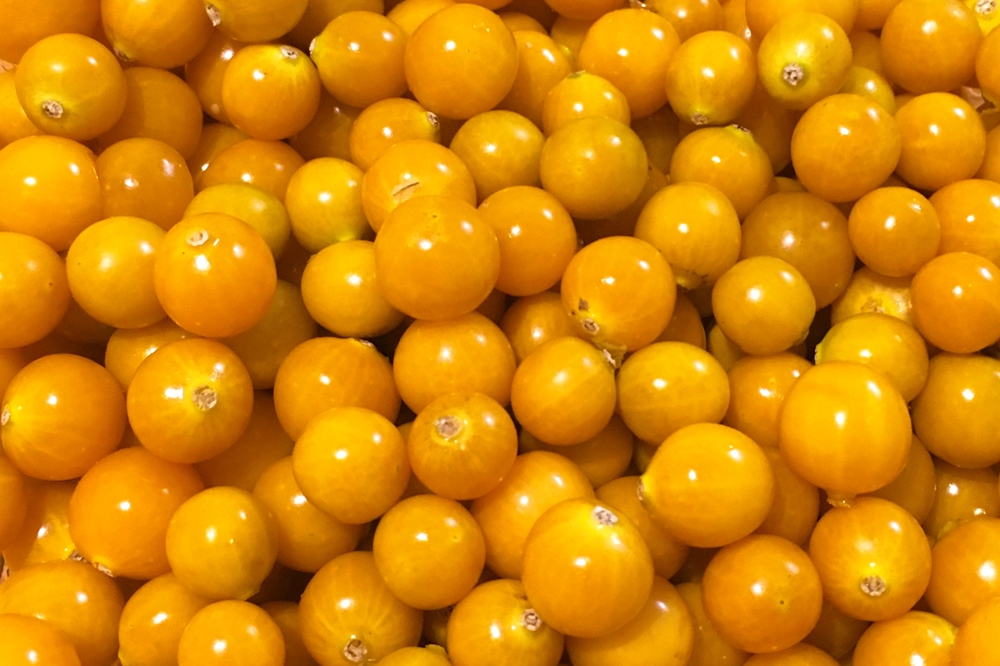 Stumpflgut in Furth - Familie Andeßner