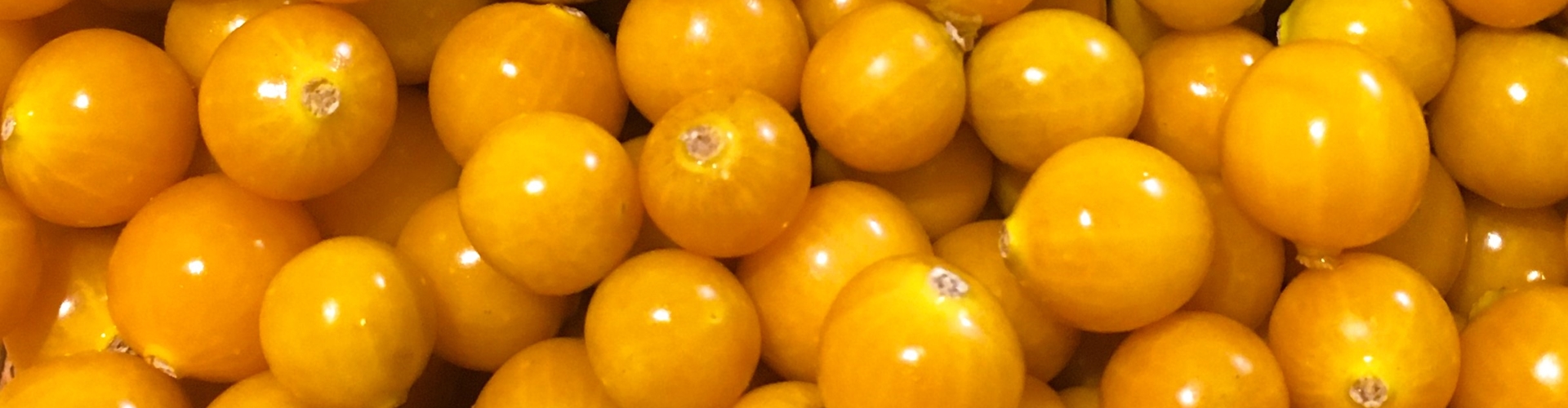 Stumpflgut in Furth - Familie Andeßner