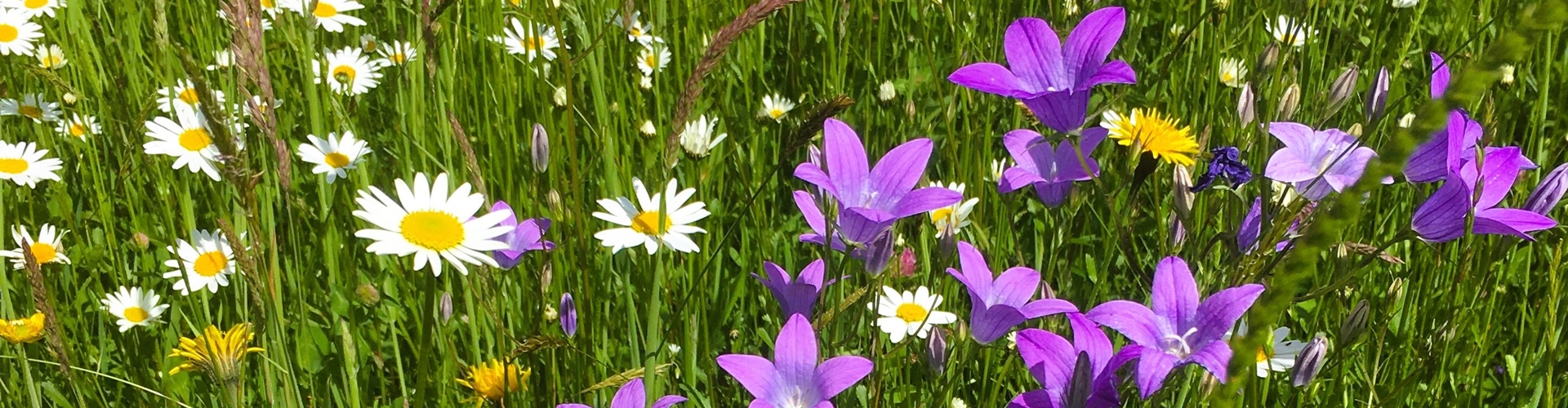 Stumpflgut in Furth - Familie Andeßner
