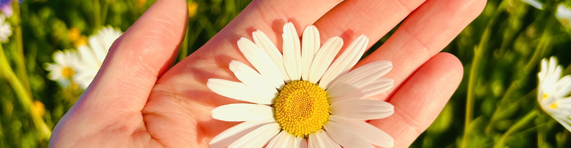 Stumpflgut in Furth - Familie Andeßner