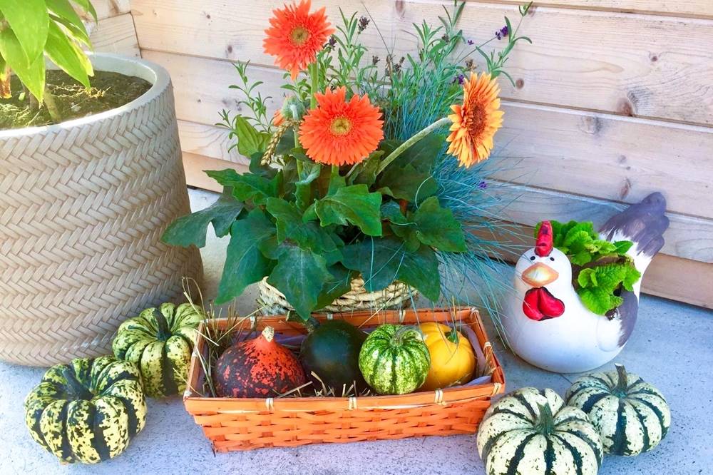 Stumpflgut in Furth - Familie Andeßner