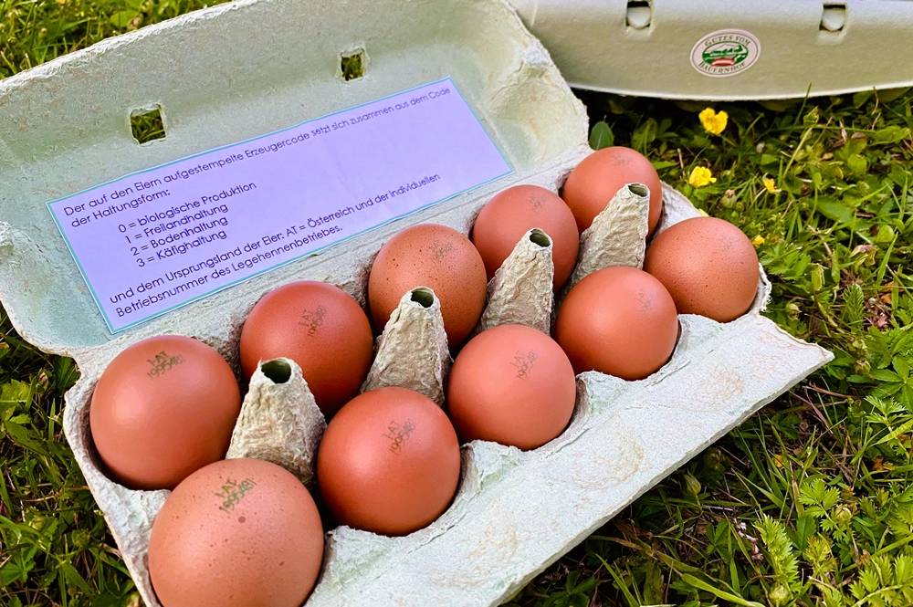 Stumpflgut in Furth - Familie Andeßner