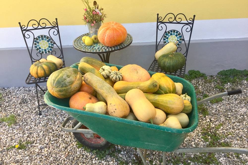 Stumpflgut in Furth - Familie Andeßner