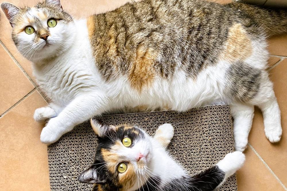 Stumpflgut in Furth - Familie Andeßner