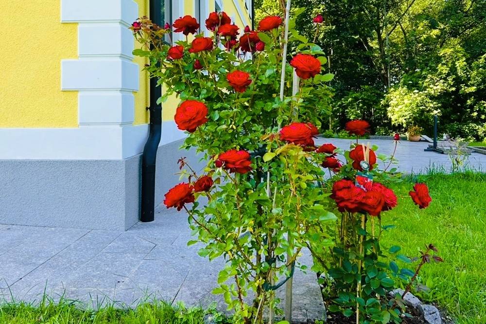 Stumpflgut in Furth - Familie Andeßner