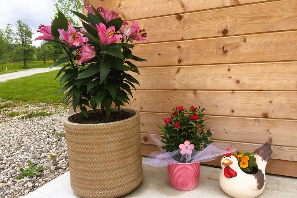 Stumpflgut in Furth - Familie Andeßner