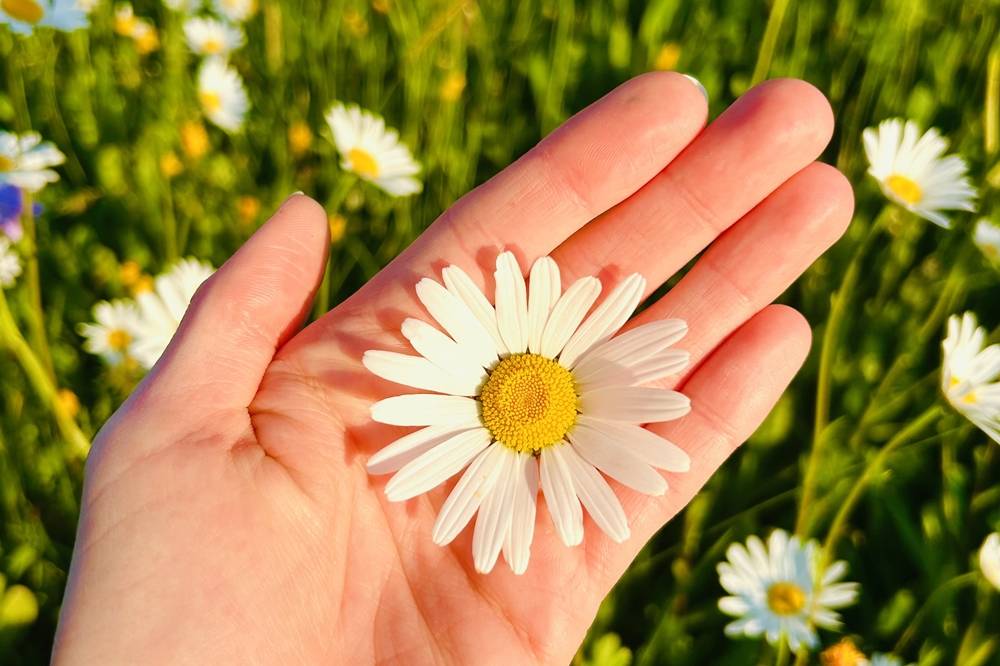 Stumpflgut in Furth - Familie Andeßner