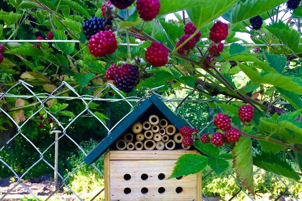 Stumpflgut in Furth - Familie Andeßner