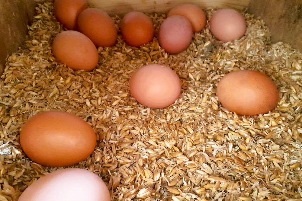 Stumpflgut in Furth - Familie Andeßner